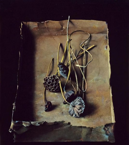 冷军最厉害的画多少钱