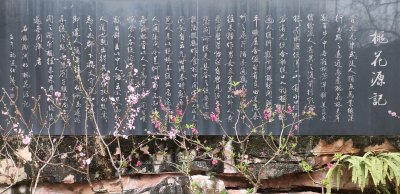 桃花源记是桩大阴谋 为什么说桃花源记的背后故事很恐怖