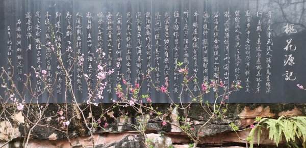 桃花源记是桩大阴谋