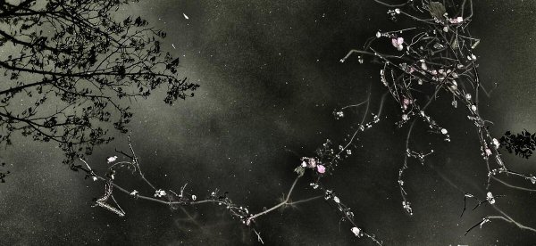 桃花源记是桩大阴谋