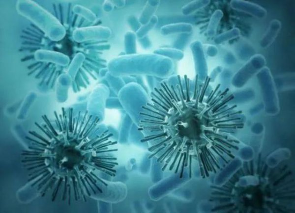 世界上真的有丧尸吗