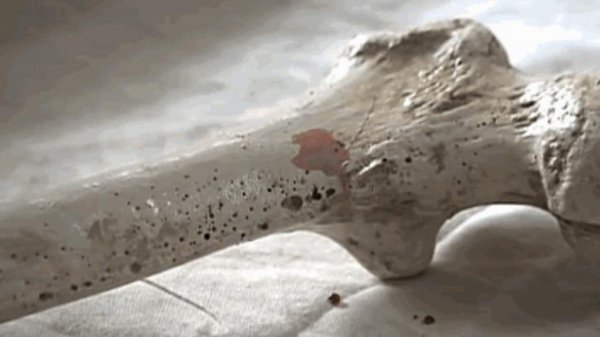 古时候滴血认亲原理