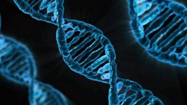 古时候滴血认亲原理