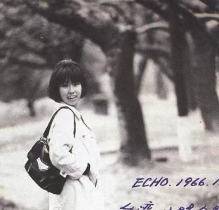 三毛和荷西有什么故事 三毛和荷西发生甜蜜爱情简介