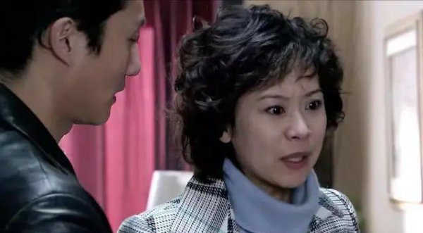 电视剧双面胶原型故事