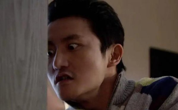 电视剧双面胶原型故事