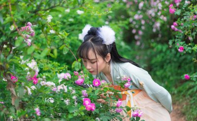 李商隐的爱情故事 关于诗人李商隐的三段感情经历