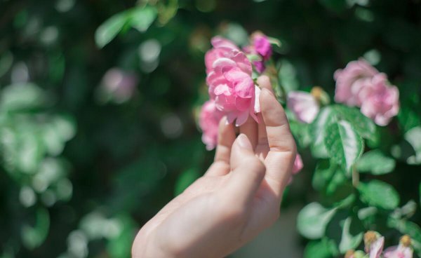 李商隐的爱情故事