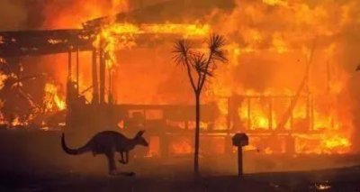 2020庚子年大乱是真的吗 2023年都发生了那些事