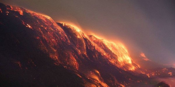 2020庚子年大乱是真的吗