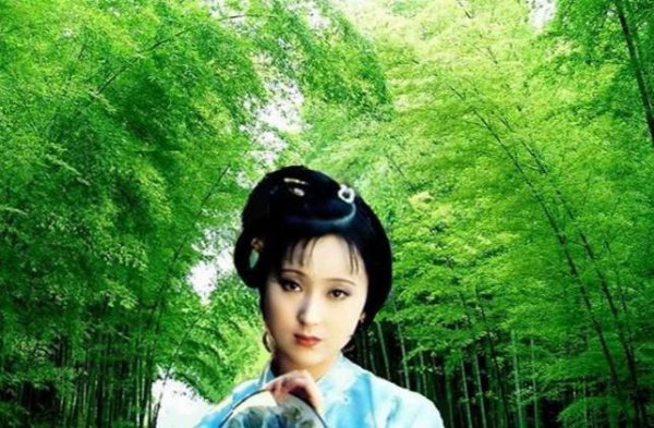 北静王与林黛玉的关系