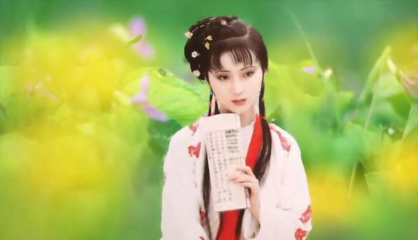 北静王与林黛玉的关系