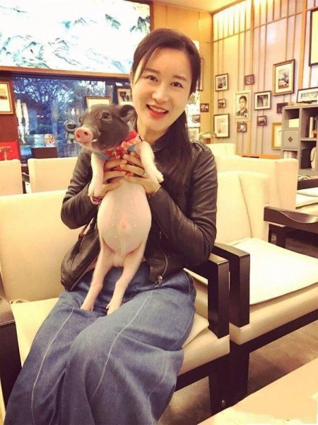 杜星霖个人简历介绍