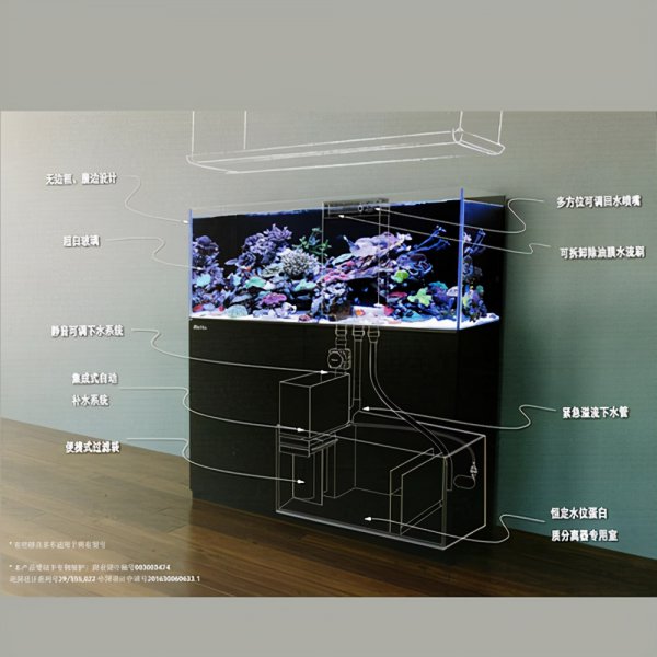 海缸需要的设备有什么