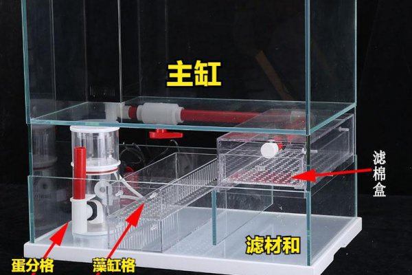 海缸需要的设备有什么