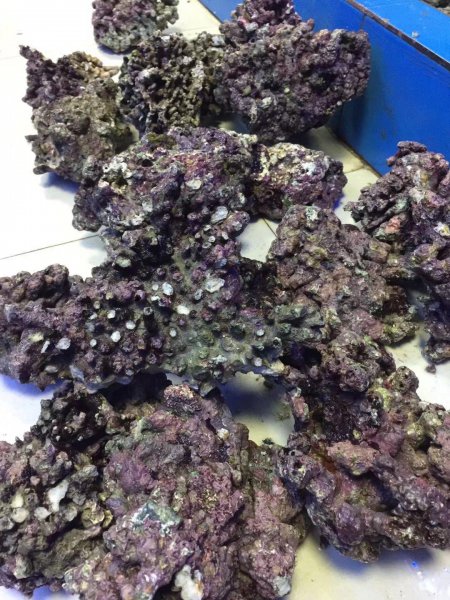 海缸需要的设备有什么