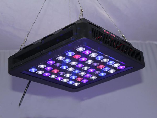 海缸需要的设备有什么