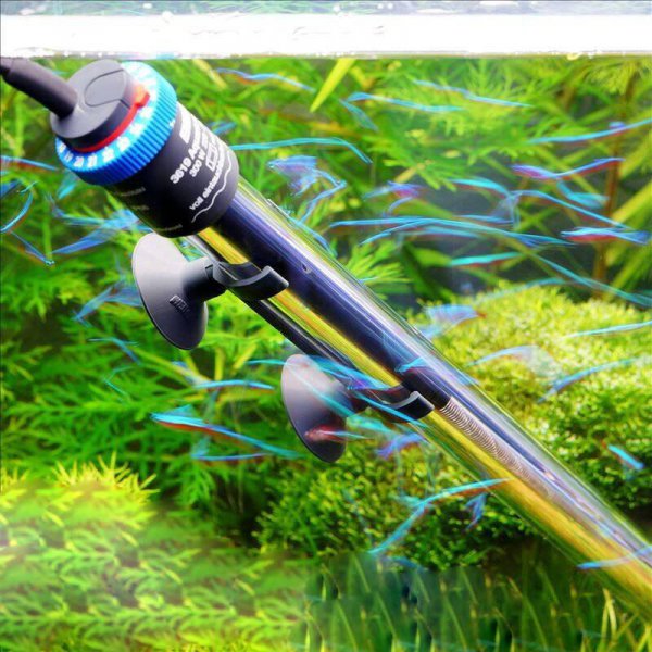 海缸需要的设备有什么