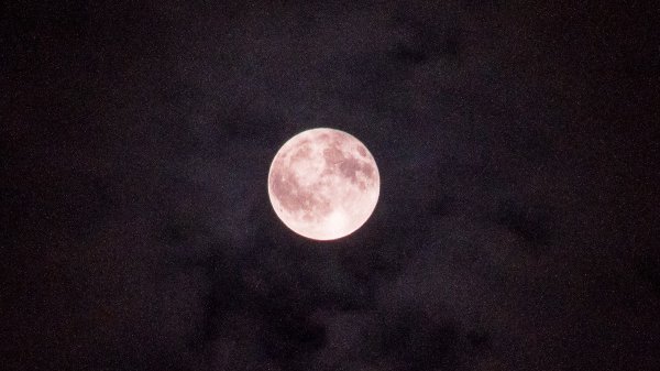 月亮与六便士原型是谁