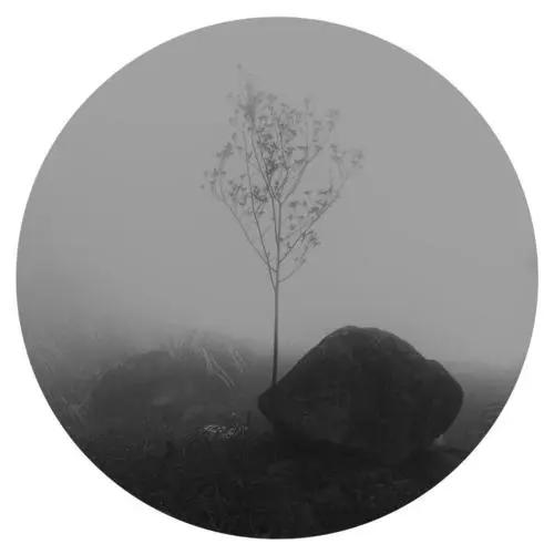 木石姻缘的由来与含义