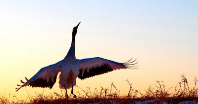 异性之间有纯洁的友谊吗 异性朋友怎么保持关系呢