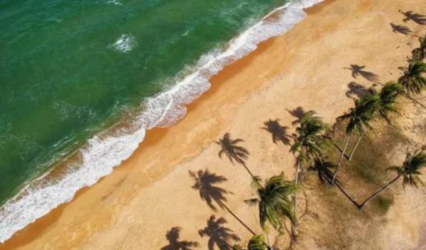 缺爱的男人爱上一个人的表现