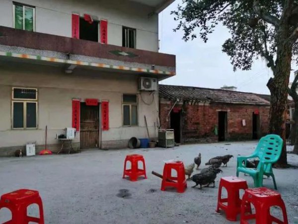 体校一年学费多少钱