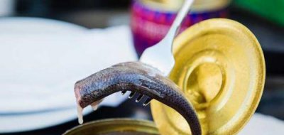 鲱鱼罐头对人体有害吗 为什么瑞典人喜欢吃鲱鱼罐头