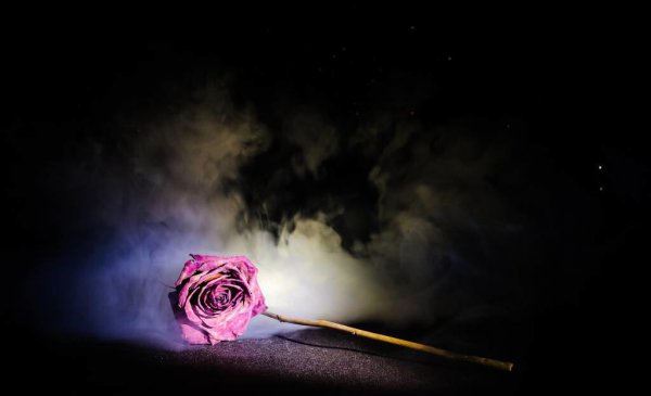 相爱十年韩灵被两个歹徒怎么了