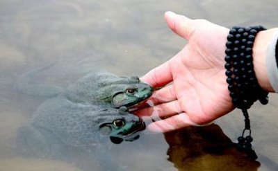 个人放生最简单方法及注意事项 道教放生时有什么讲究