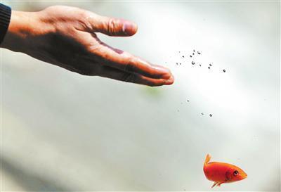 个人放生最简单方法及注意事项