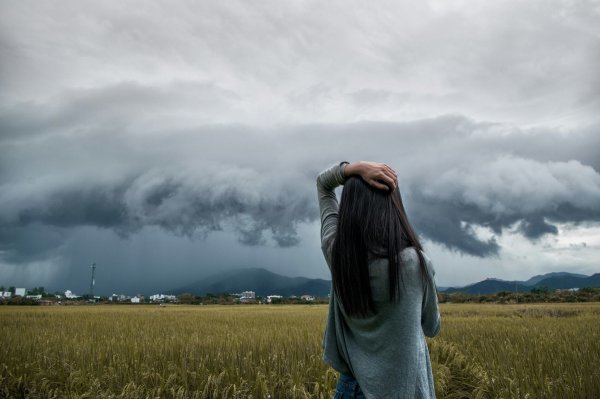 沈佳宜是哪部电影的