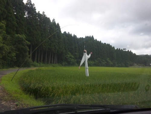 日本十大恐怖都市传说