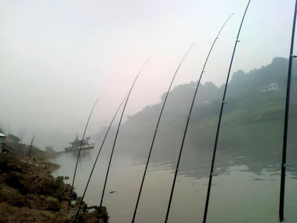 海竿钓鲢鳙线组怎么安装过程