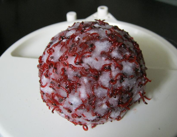 钓鱼打窝用什么料好