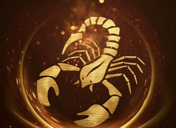 天蝎座一生能有钱吗