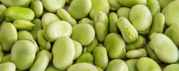 水泡好的蚕豆怎么炒好吃啊