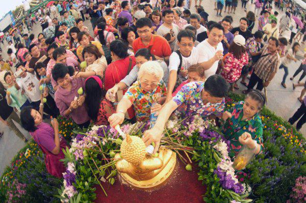 泰国精英签证5年多少钱