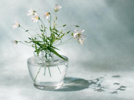 闺蜜老公出轨我该怎么去开导