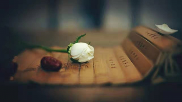 闺蜜老公出轨我该怎么去开导