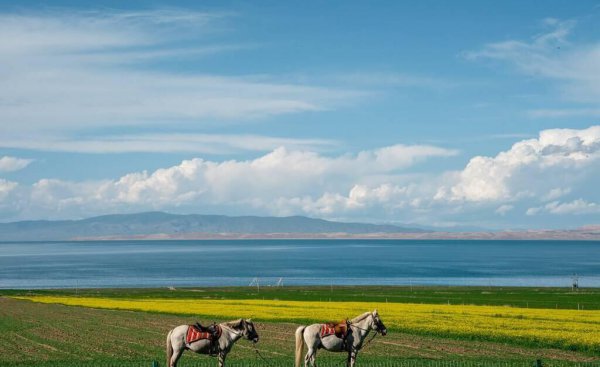 国内旅游必去的十大地方排名