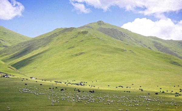 国内旅游必去的十大地方排名