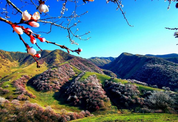 国内旅游必去的十大地方排名