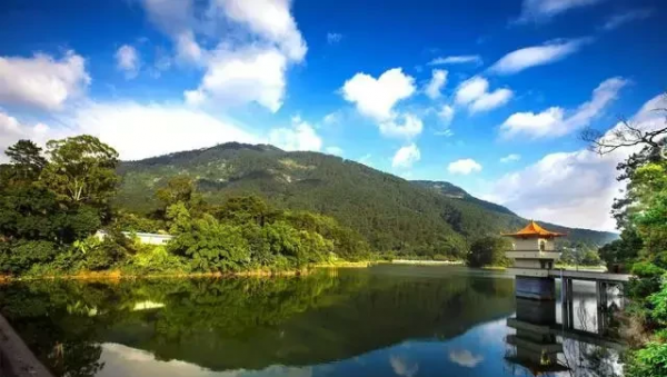 广西的城市有哪些