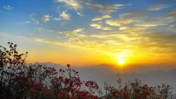 广西的城市有哪些