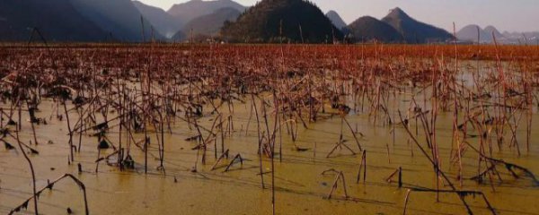 安龙有哪些景区