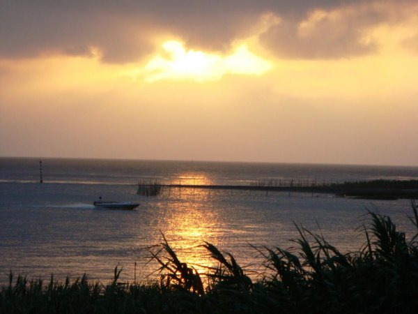 世界最大的河心岛在哪里