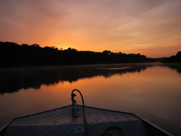 世界最大的河心岛在哪里