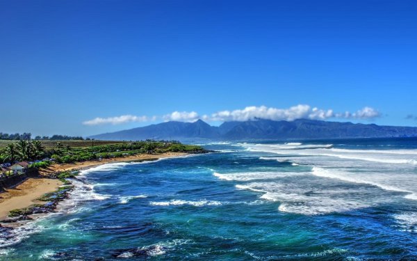 世界最大的河心岛在哪里