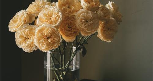 婚外情超过多久是真爱